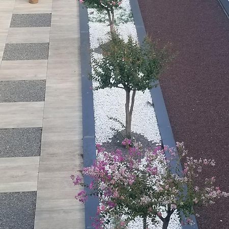Antony Real Bed & Breakfast Orange  Ngoại thất bức ảnh