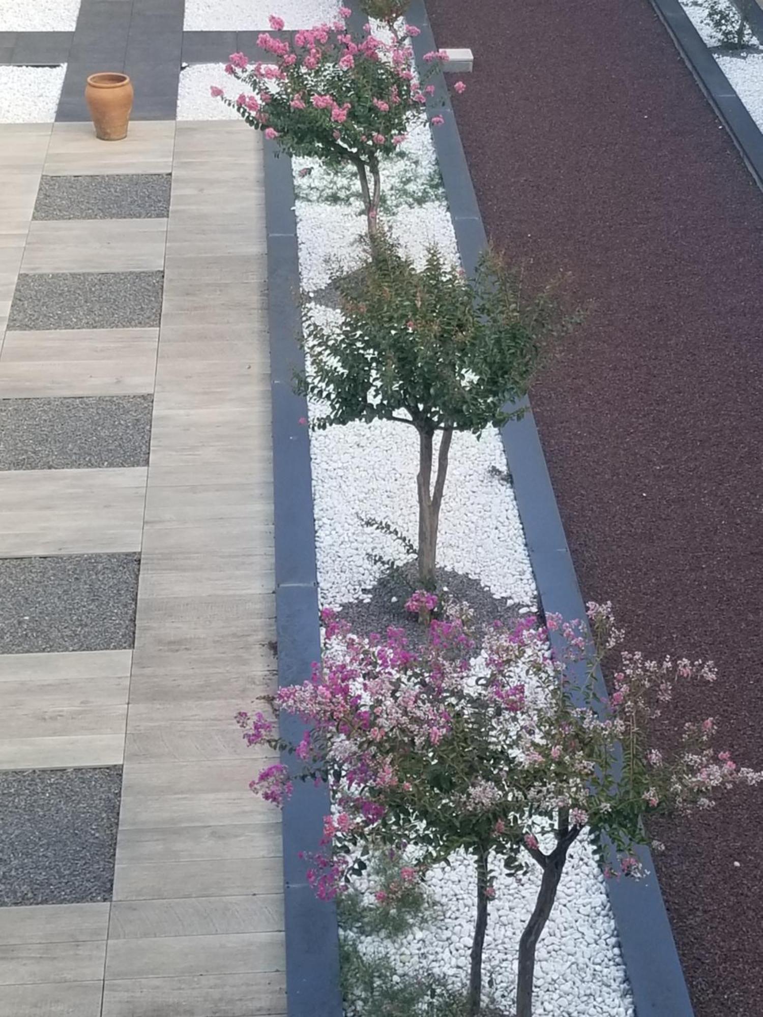 Antony Real Bed & Breakfast Orange  Ngoại thất bức ảnh